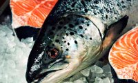 Эксперты прогнозируют удешевление икры и рыбы перед праздниками