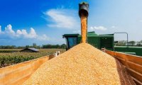 Экспорт продовольствия стал главной статьей дохода российской казны после нефти и газа