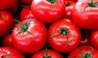 Эмбарго на поставку турецких томатов могут аннулировать