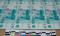 За прошлый год МВД изъяло 50 тыс. фальшивых банкнот на 229 млн рублей 