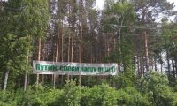 Защитники Березовой рощи в Екатеринбурге требуют от Городской думы исполнить решение суда