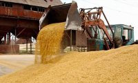 Зерновые компании получают выгоду от мирового продовольственного кризиса и высокого спроса