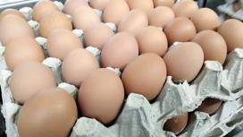 ФАС предложила ретейлерам на время ограничить наценку на куриные яйца, но это не спасет ситуацию…