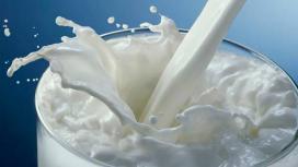 Молочные закваски: надежда на импортозамещение
