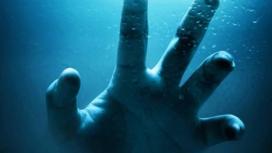 Морские анемоны раскрывают секрет вечной молодости