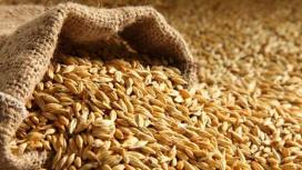 «Не тот хлеб, что в поле»: Лавров обвинил Запад в невыполнении «зерновой сделки»