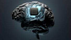 Поле боя в человеческом сознании: как нейронаука открывает путь к оружию, контролирующему разум