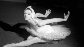 «Умирающий лебедь» Плисецкой вызывал сопереживание зала. К 100-летию со дня рождения примы русского балета