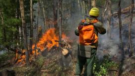 Лесными пожарами охвачено полстраны