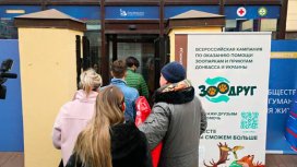 «ЗооДруг» своих не бросает. Стартовал сбор помощи зоопаркам и приютам Донбасса и Украины 