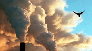 Алексей Яблоков: В России – сплошь территории, на которых опасно жить