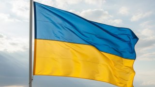 Азаров назвал число политзаключенных на Украине: до 20 тысяч человек