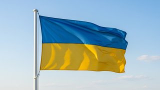 Азаров против Штайнмайера: бывший премьер Украины назвал его ненадёжным посредником