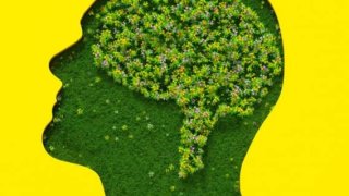 Что делает наш мозг человеческим? Ученые нашли генетический ключ