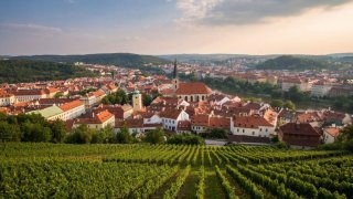 Европа должна начать диалог с Путиным заявил премьер Чехии