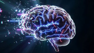 Фрагментированный контент ухудшает память и меняет нейронные связи