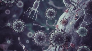 Испания вводит «карантинную зону» вокруг лайнера со смертельным вирусом