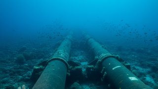 Кремль: спецслужбы РФ фиксируют подготовку Украиной диверсий на газопроводах «Турецкий поток» и «Голубой поток»