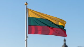Литовского чиновника отправляют на Украину после скандала о Крыме