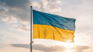 Мобилизация в ВСУ провалилась: Сальдо рассказал о страхе украинской молодежи