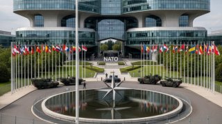 НАТО на грани раскола из-за острейшего внутреннего кризиса