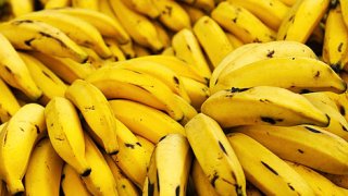 Названы лучшие осенние продукты для здоровых и красивых волос