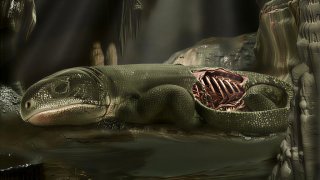 Окаменелость мумии возрастом 289 миллионов лет