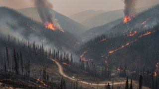 Площадь лесных пожаров в Туве превысила 1,3 тысячи гектаров