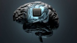 Поле боя в человеческом сознании: как нейронаука открывает путь к оружию, контролирующему разум