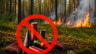 Правительство запретило пиротехнику в лесах в пожароопасный сезон