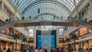 Прогулка в Dubai Mall как ответ ОАЭ на ближневосточный кризис