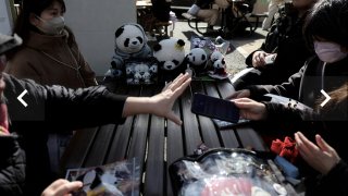 Прощание с пандами. Как уход любимцев из зоопарка Уэно связан с политикой