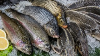 Россельхознадзор с 2 июня ограничил поставки рыбы из Армении