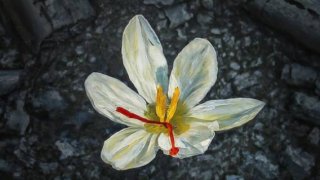 Российские артисты записали альбом «Голос мой услышь» в память о жертвах теракта в «Крокус Сити Холле»