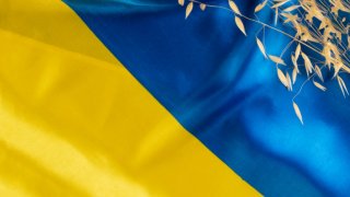 Россия подтверждает готовность к дипломатическому решению по Украине