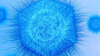 Следующее «вечное химическое вещество», возможно, уже в воздухе. Ученые до сих пор не понимают, на что оно способно