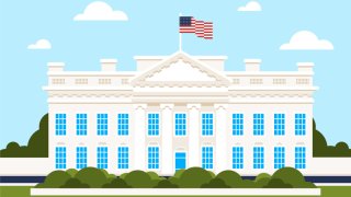 Трамп повесил в Белом доме фото с Путиным из личного архива