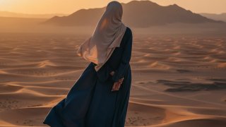 В Германии рассматривают вопрос о ношении хиджаба сотрудниками служб авиабезопасности