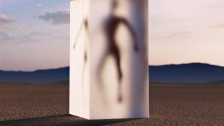 В мире заканчивается население, и следующие 40 лет могут определить судьбу человечества