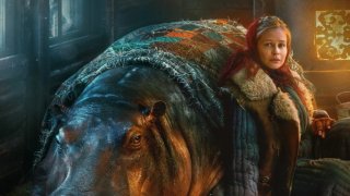 В Москве прошла премьера фильма «Красавица» о спасении животных в блокадном Ленинграде