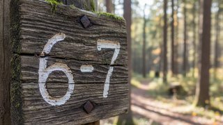 В Перми учитель в шутку ограничил использование числа 67 на уроках математики