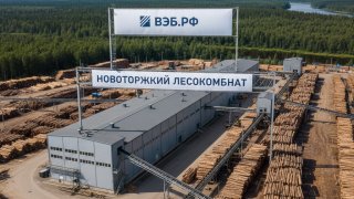 ВЭБ.РФ выкупил Новоторжский лесокомбинат, обеспечив стабилизацию предприятия