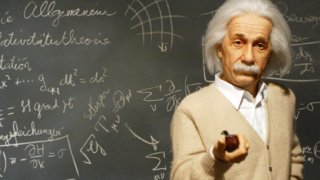 Эйнштейн бы одобрил: звезды Голливуда с самым высоким IQ