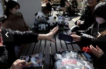 Прощание с пандами. Как уход любимцев из зоопарка Уэно связан с политикой