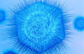 Следующее «вечное химическое вещество», возможно, уже в воздухе. Ученые до сих пор не понимают, на что оно способно