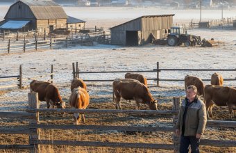 «Уничтожают дело всей моей жизни». Фермеры подозревают «Мираторг» в искусственной вспышке опасных заболеваний