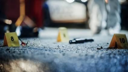 Новый детектив: белки вместо ДНК. Как одна волосинка раскроет преступление