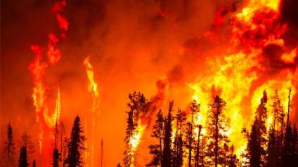 Огненный май: в Сибири продолжается борьба с лесными пожарами
