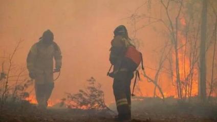 Россия в огне лесных пожаров