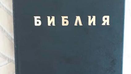 Василий Устюжанин: Бог посадил нас в Ноев ковчег-2